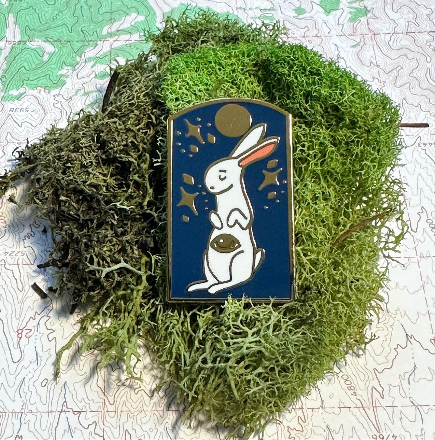 Cosmic Rabbit enamel pin