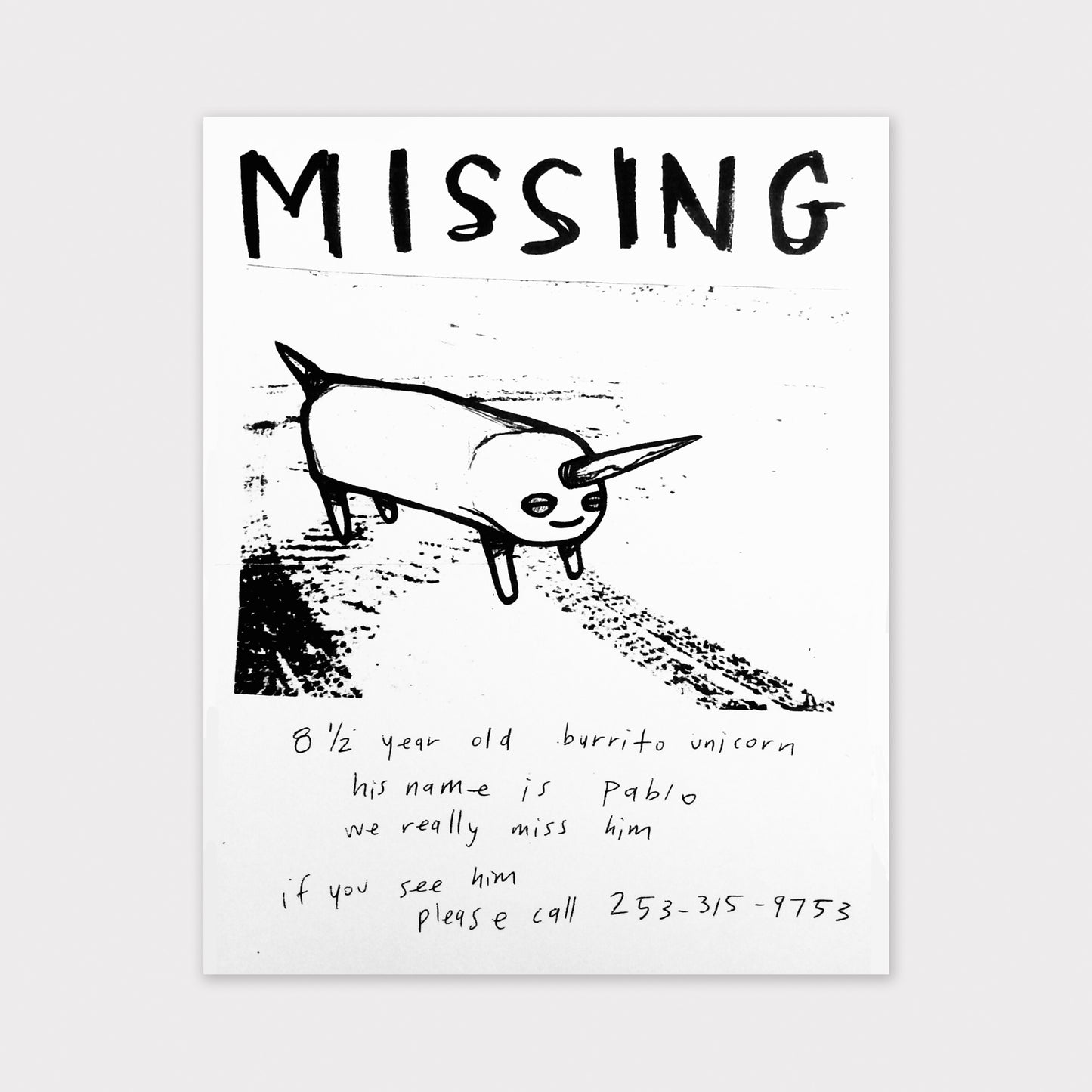Burrito Unicorn Missing Poster (Pablo with Closed Eyes)